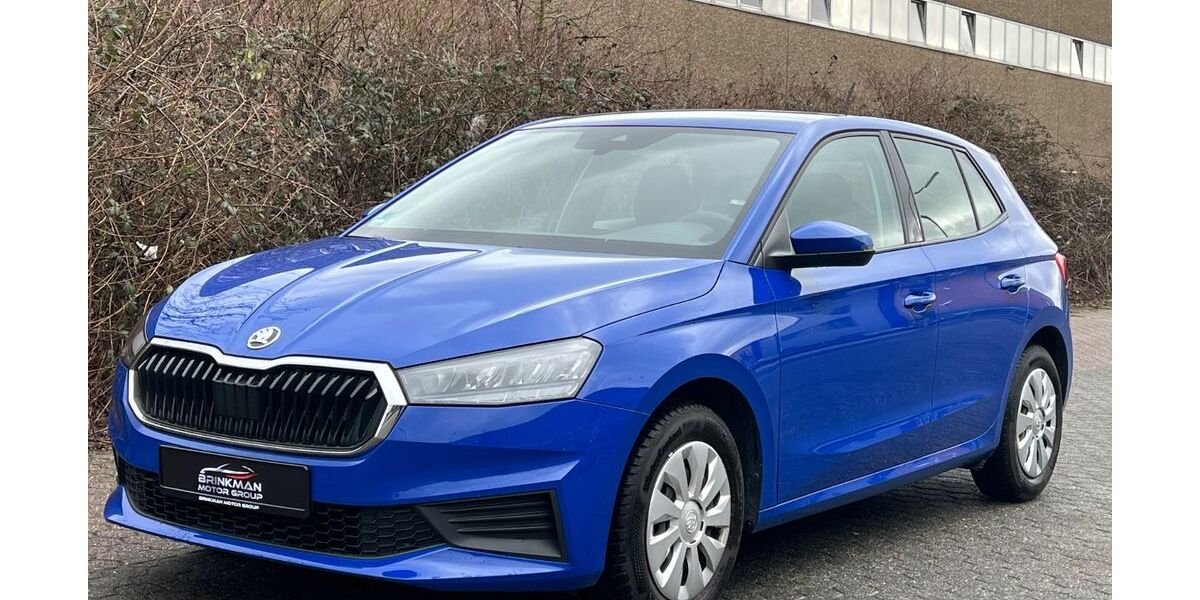 Skoda Fabia 13.128 km 13.694 &euro; Weilerswist 53919