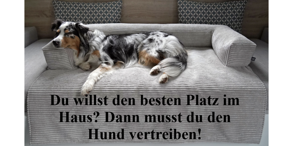 Einfamilienhaus Erftstadt - 5 Zimmer, 130 m&sup2;, 335.000&euro; | Angebot:19538580