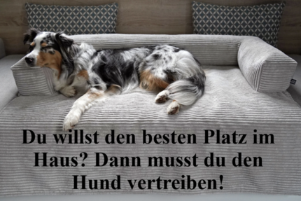 Haus Erftstadt - 5 Zimmer, 130 m&sup2;, 335.000&euro; | Angebot:19538580