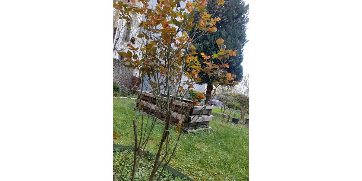 Etagenwohnung Aachen Aachen-Mitte - 2 Zimmer, 38 m&sup2;, 600&euro; | Angebot:26023929