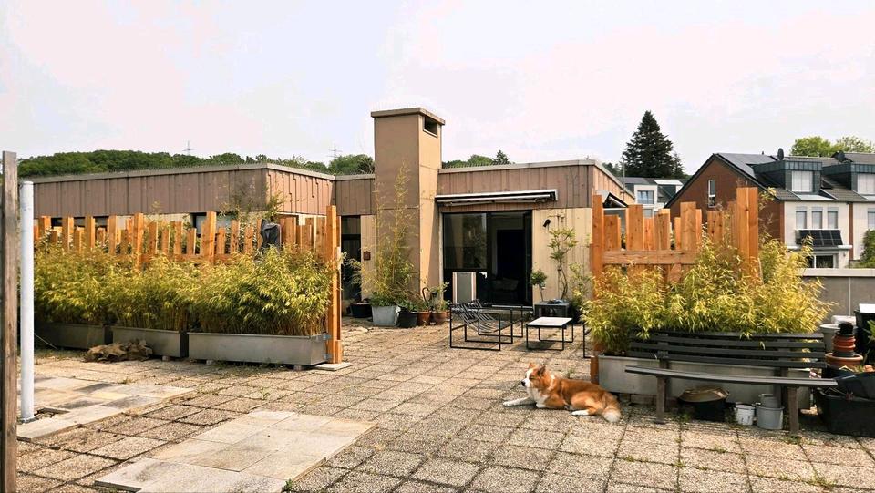 Terrassenwohnung Aachen Eilendorf - 3 Zimmer, 115 m&sup2;, 1.150&euro; | Angebot:26518333