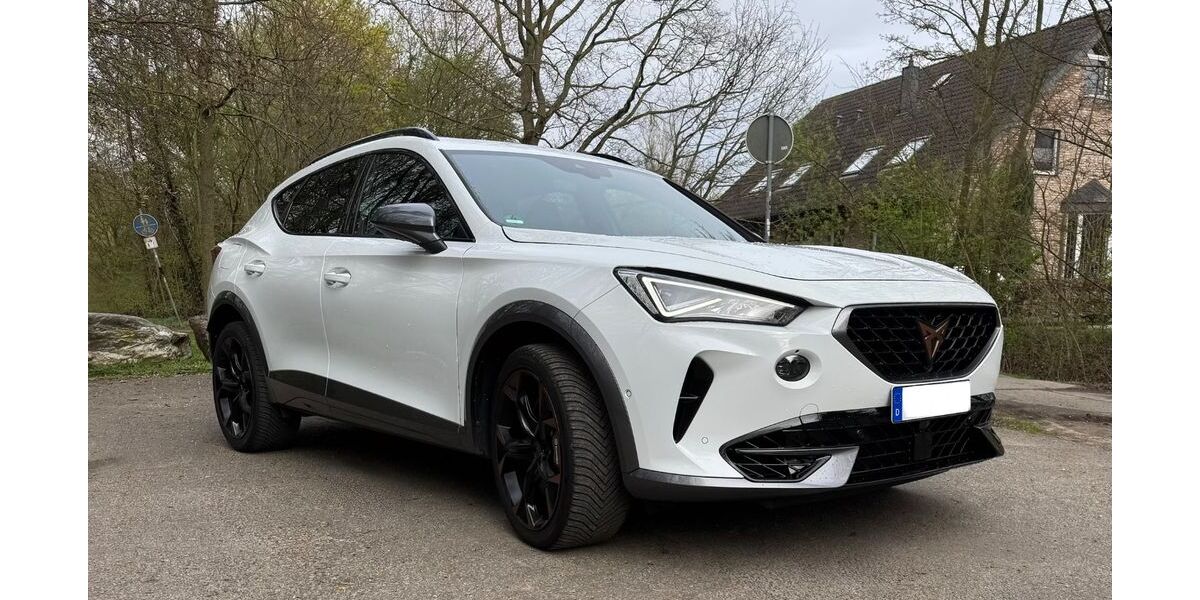 Cupra Formentor 54.000 km 25.900 &euro; Eschweiler 52249