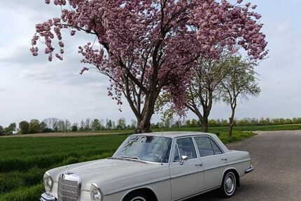 Mercedes-Benz 250 122.250 km 28.500 &euro; Titz 52445