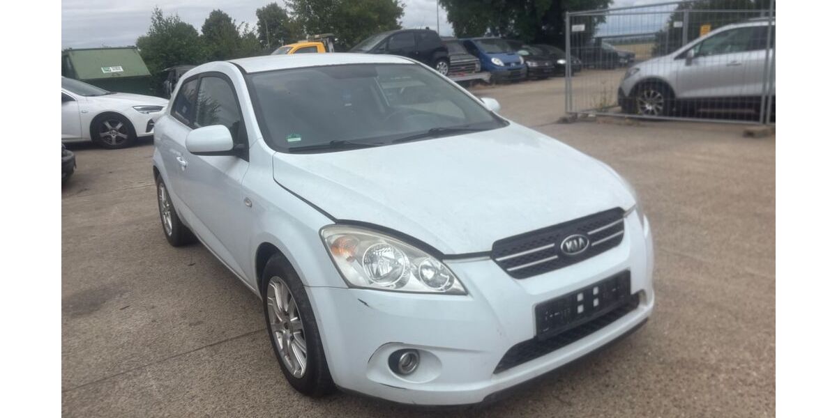 Kia pro ceed / ProCeed 222.123 km 790 &euro; Kerpen 50171