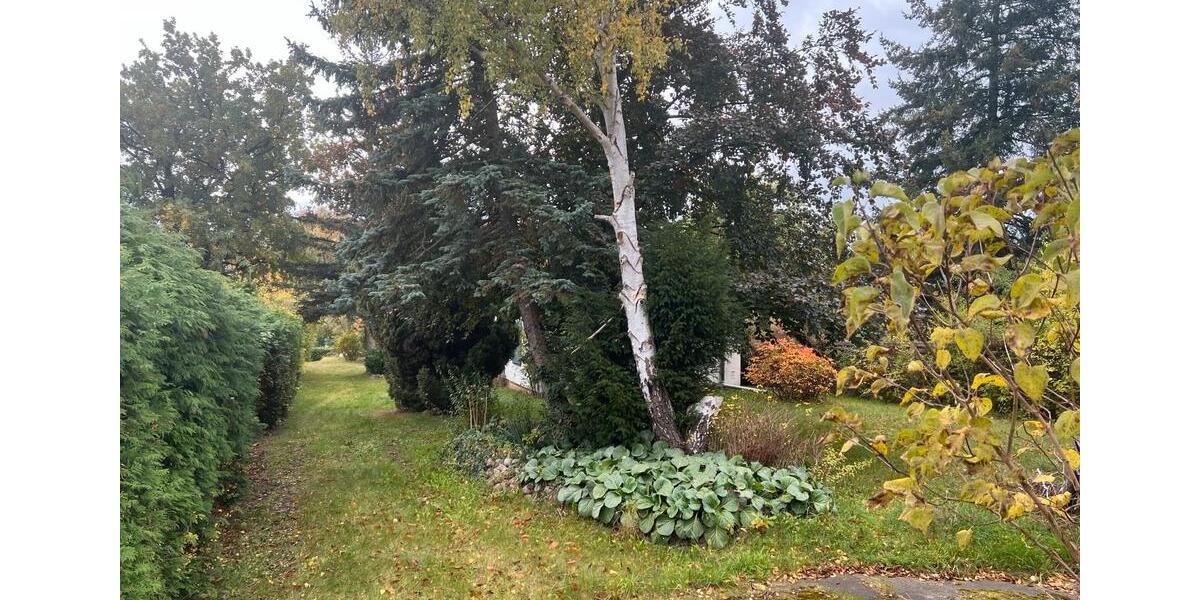 Einfamilienhaus Kreuzau - 1 Zimmer, 45 m&sup2;, 69.900&euro; | Angebot:26670417