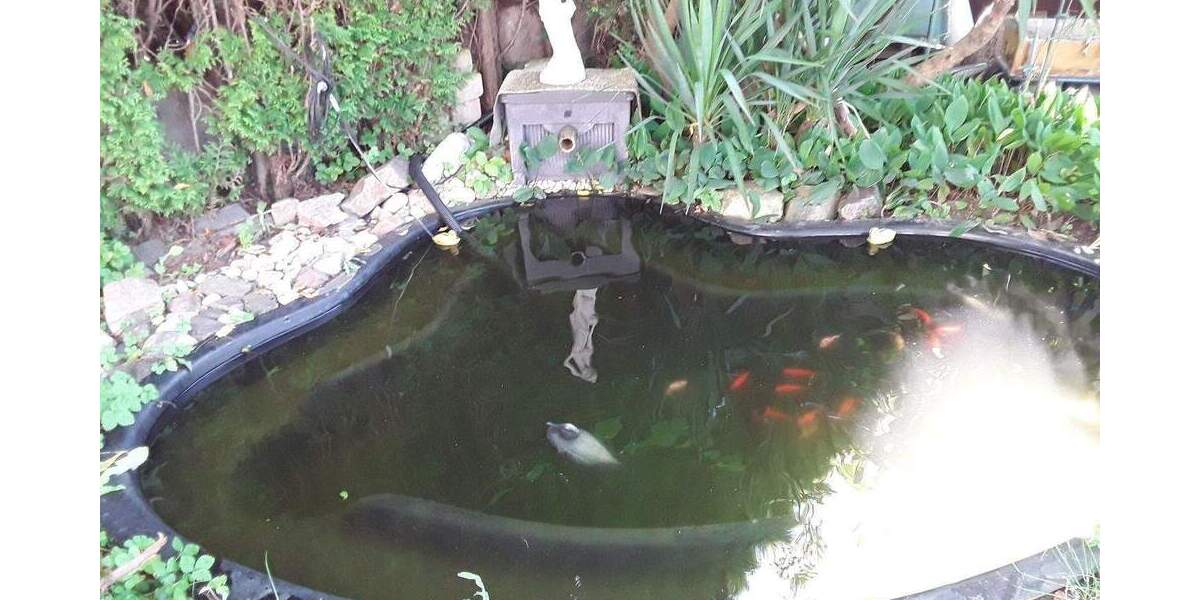 Mehrfamilienhaus, Wohnhaus Kerpen Horrem - 8 Zimmer, 170 m&sup2;, 529.000&euro; | Angebot:25782124