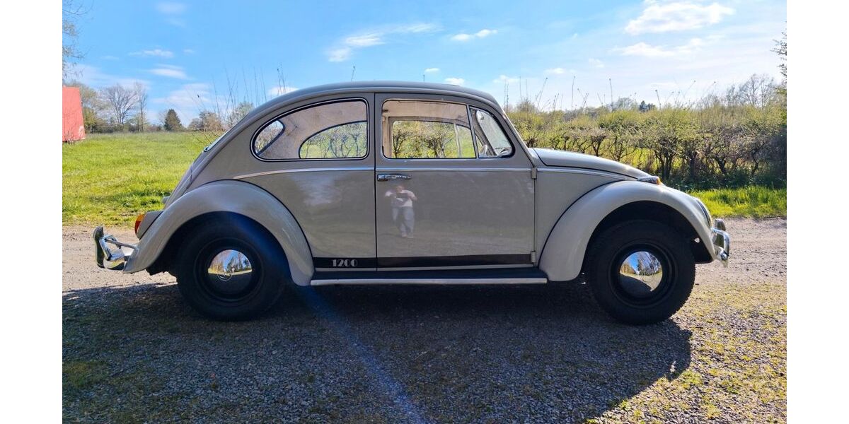 VW Käfer 68.500 km 11.500 &euro; Roetgen 52159