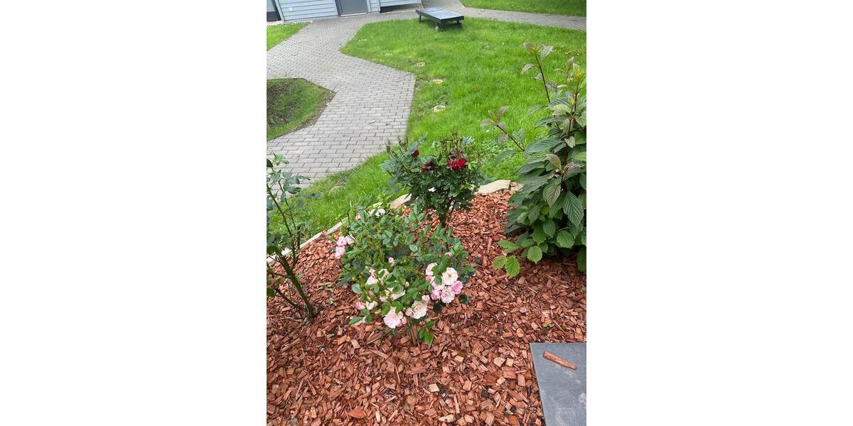 Erdgeschoßwohnung Simmerath - 2 Zimmer, 80 m&sup2;, 299.000&euro; | Angebot:25152032