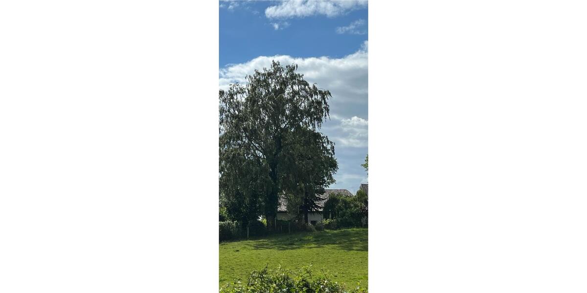 Bauernhaus, Landhaus Aachen Aachen-Mitte - 449.000&euro; | Angebot:26940562