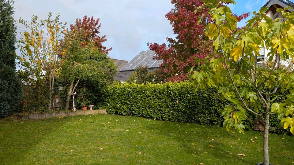 Einfamilienhaus Rommerskirchen - 7 Zimmer, 181 m&sup2;, 799.000&euro; | Angebot:25957057