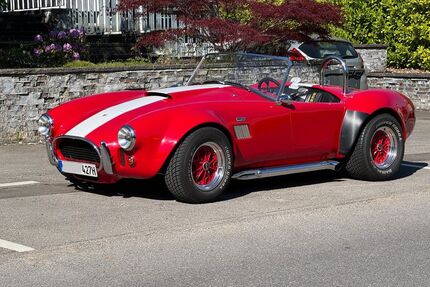 Cobra Andere 8.400 km 67.000 &euro; Eschweiler 52249