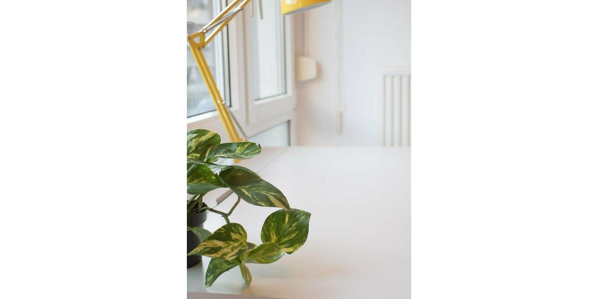 Etagenwohnung Aachen Aachen-Mitte - 1 Zimmer, 30 m&sup2;, 1.000&euro; | Angebot:17774852